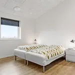 Tatil Evi Gorgeous In With Wifi